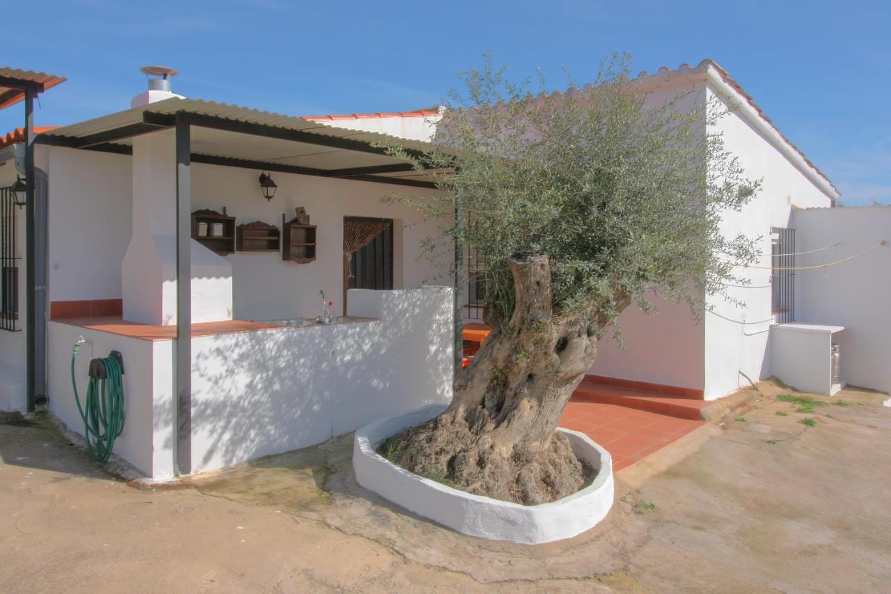 Casa Rural Los Naranjo Херес-де-лос-Кабальерос Экстерьер фото
